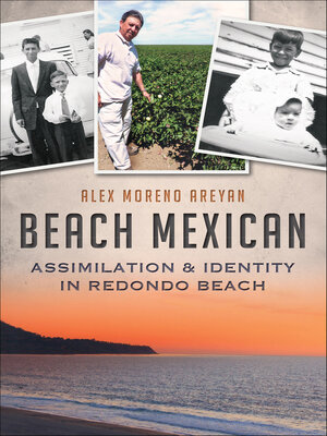 Beach Mexican - ebook